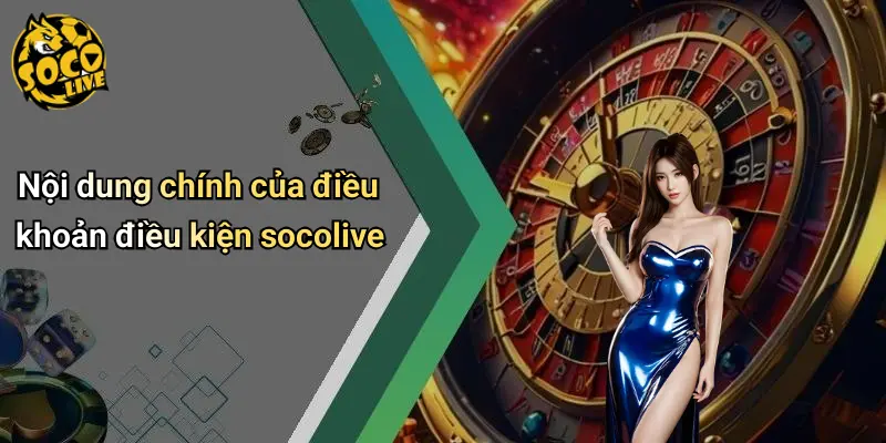 Điều Khoản Điều Kiện