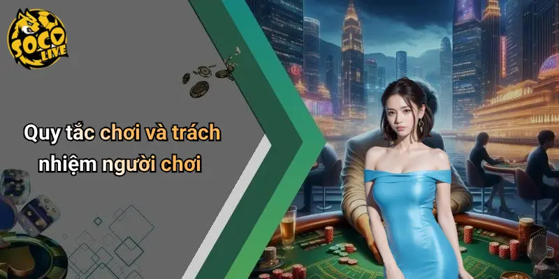 Điều Khoản Điều Kiện