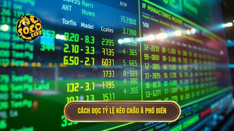 Kèo cược châu Á: Cẩm nang toàn tập và chiến thuật chinh phục từ chuyên gia SOCOLIVE 2 2. Cách đọc tỷ lệ kèo châu Á phổ biến